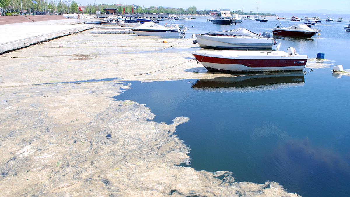 Bakanlık Balıkesir'i uyardı! Gündem 'müsilaj'... ''Balıkesir Büyükşehir Belediyesi'nin 'İleri Arıtma Tesisleri' acilen tamamlanmalı''