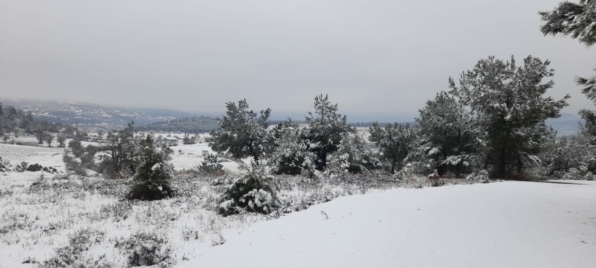 Sındırgı’da kar yağışı etkisini gösterdi! İlçe beyaza büründü ❄️