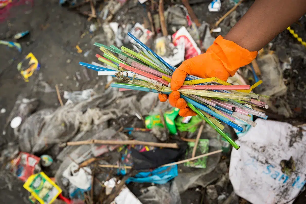 Türkiye, tek kullanımlık plastik üretiminde dünya ikincisi