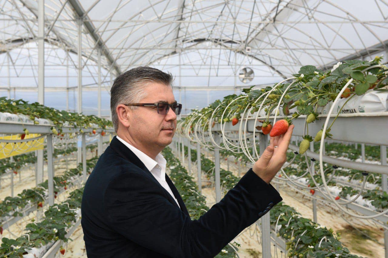 Balıkesir örtüaltı tarımın merkezi olma yolunda!