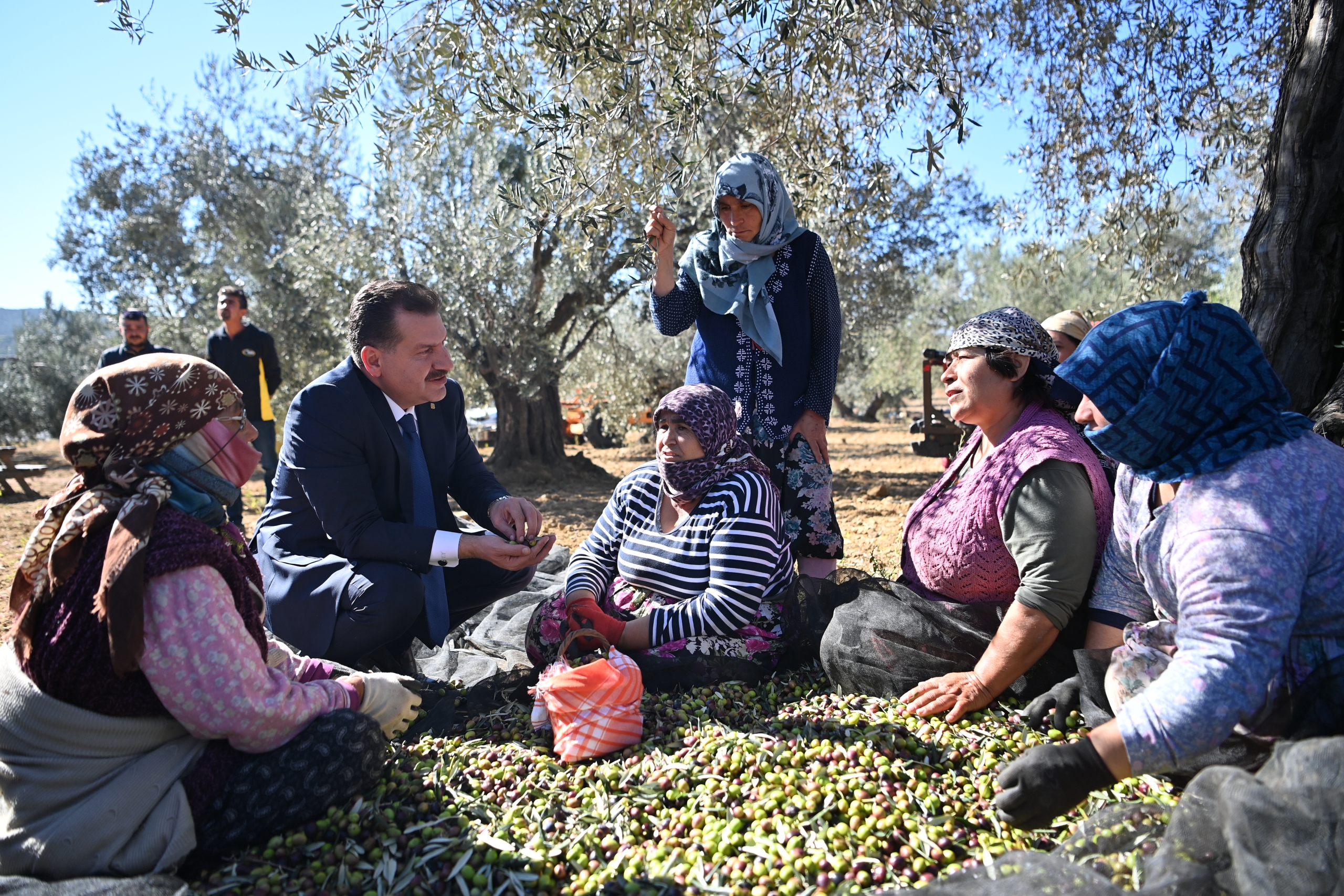 Büyükşehir'den zeytin ve incir üreticilerine büyük destek!