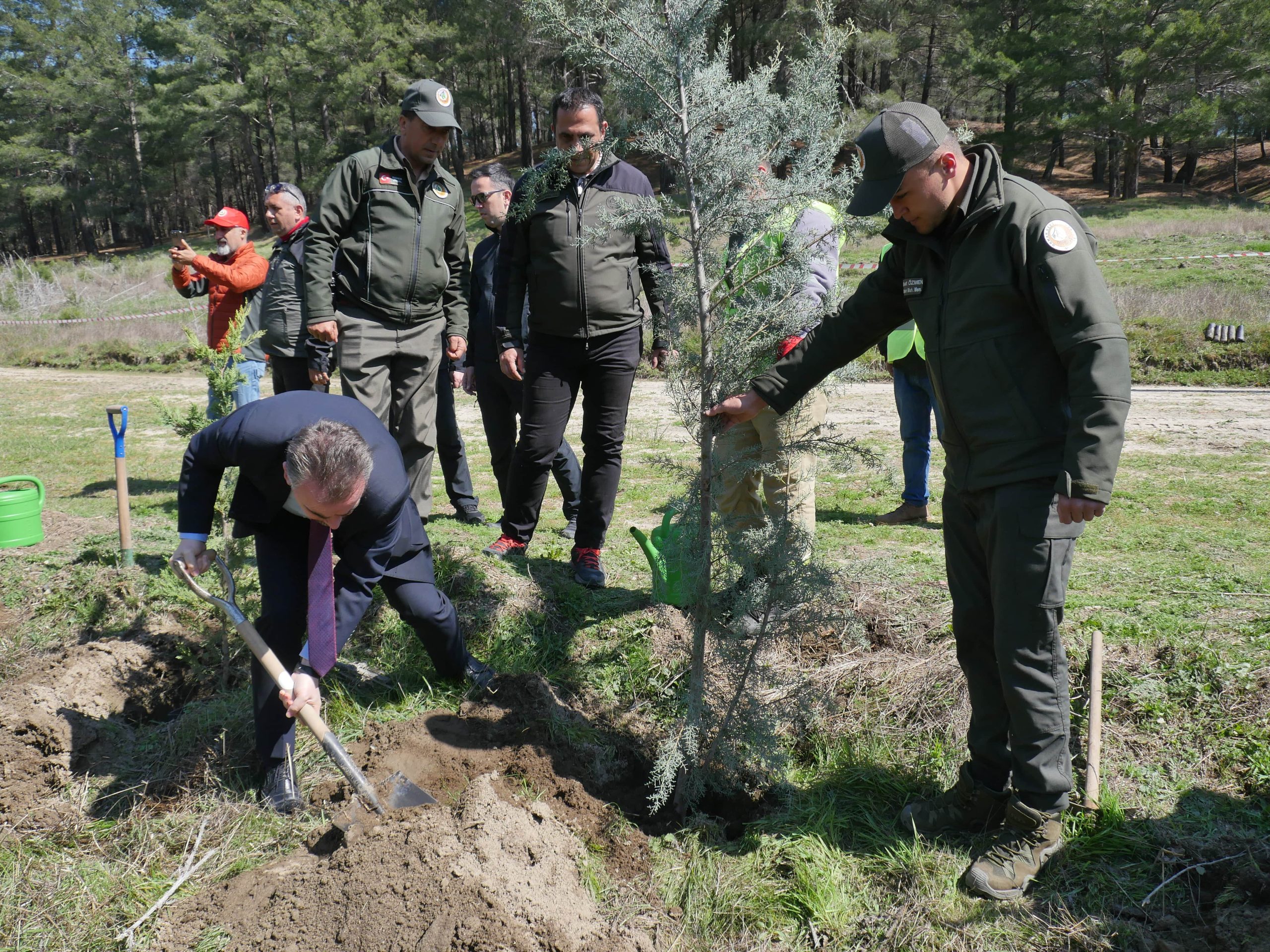 Kazdağları eteklerinde kızılçam fidanları toprakla buluşturuldu