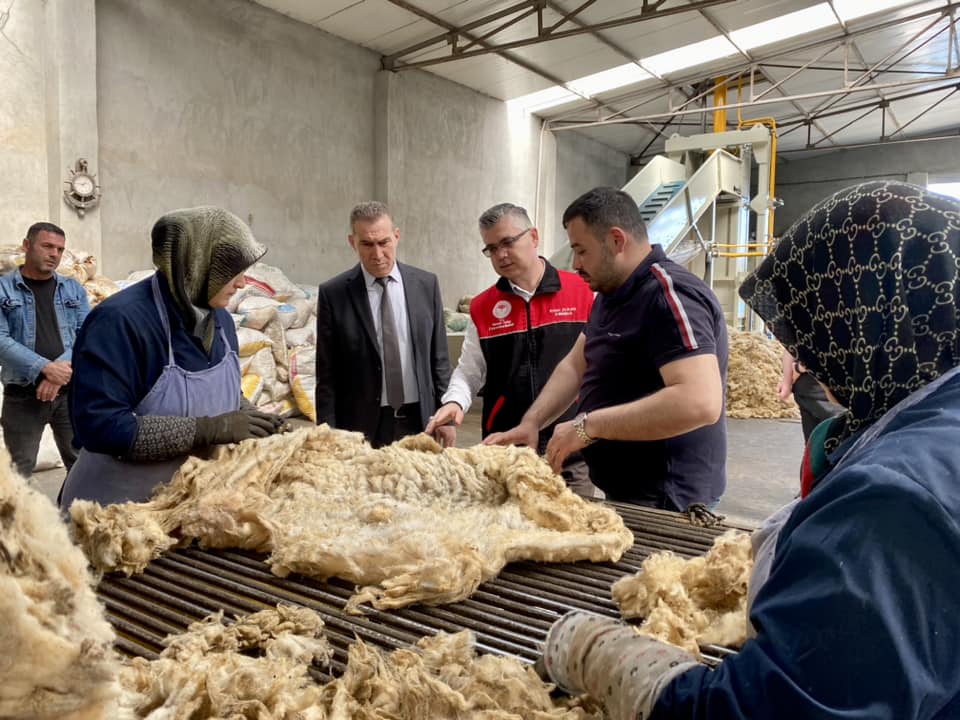 Balıkesir Kuzusu'nun yünü 'katma değer' üretiyor!