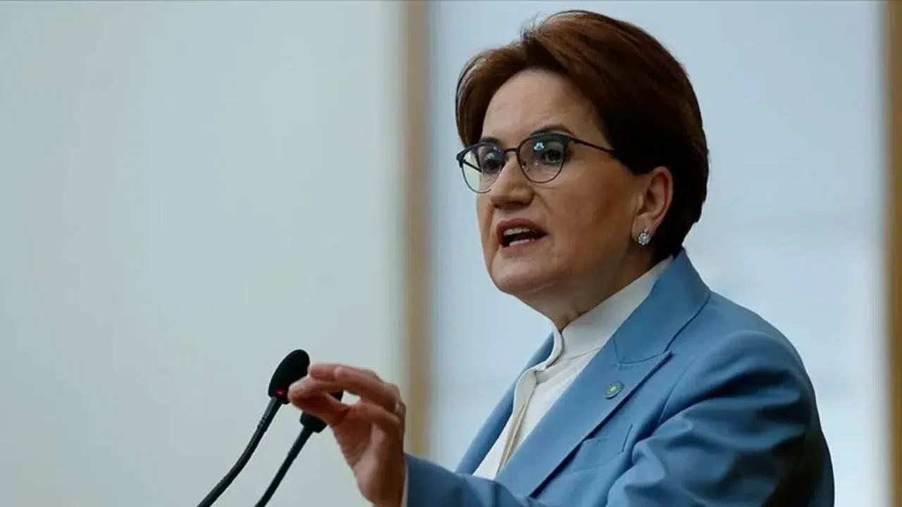 Ordu'daki seçimlerde 'usulsüzlük' iddiası: Meral Akşener heyet gönderiyor