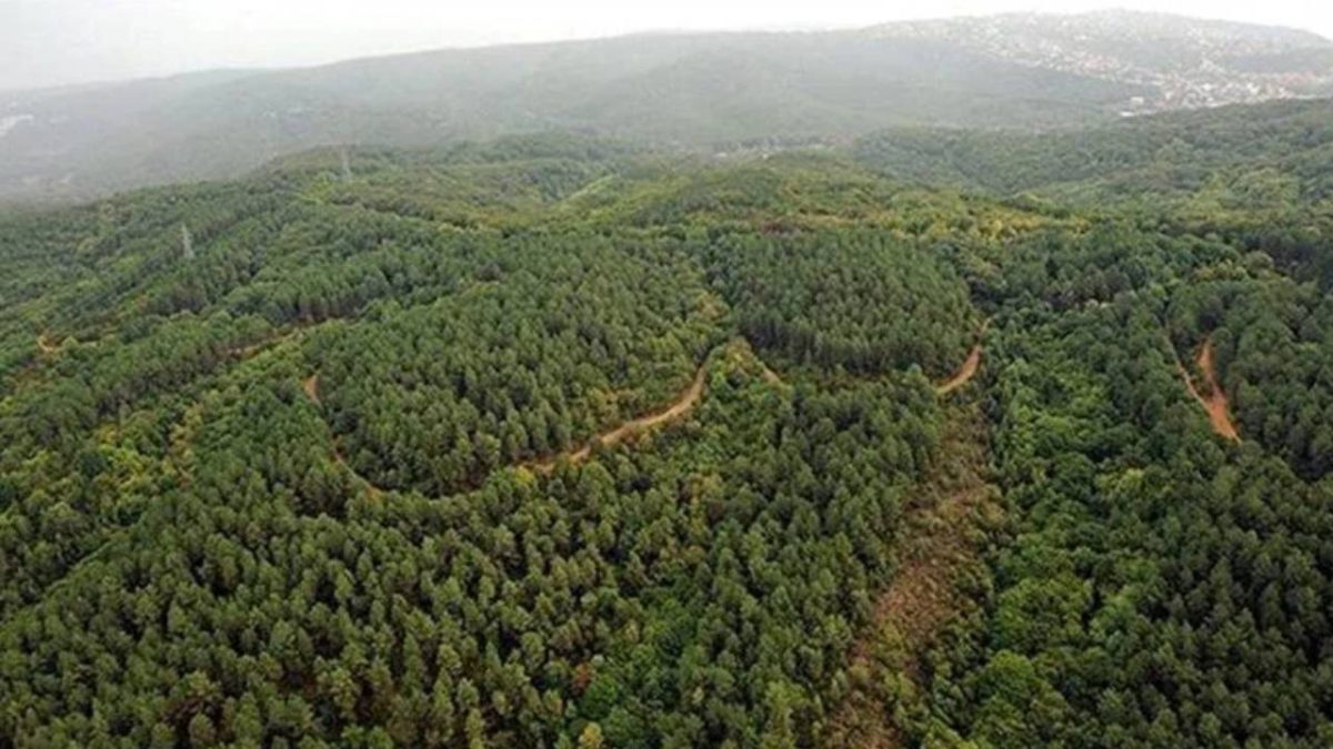 İzmir Valiliği'nden ormanlık alanlara giriş yasağı