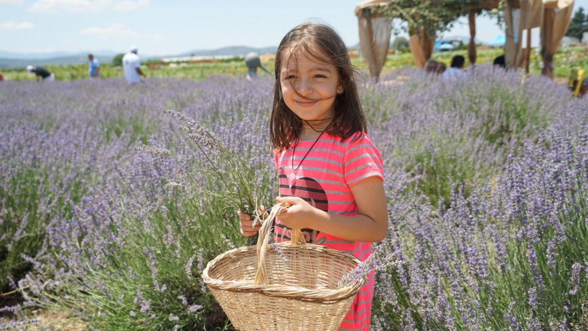 Balıkesir 'Aroma Terapi Festivali' 5'nci kez kapılarını açıyor