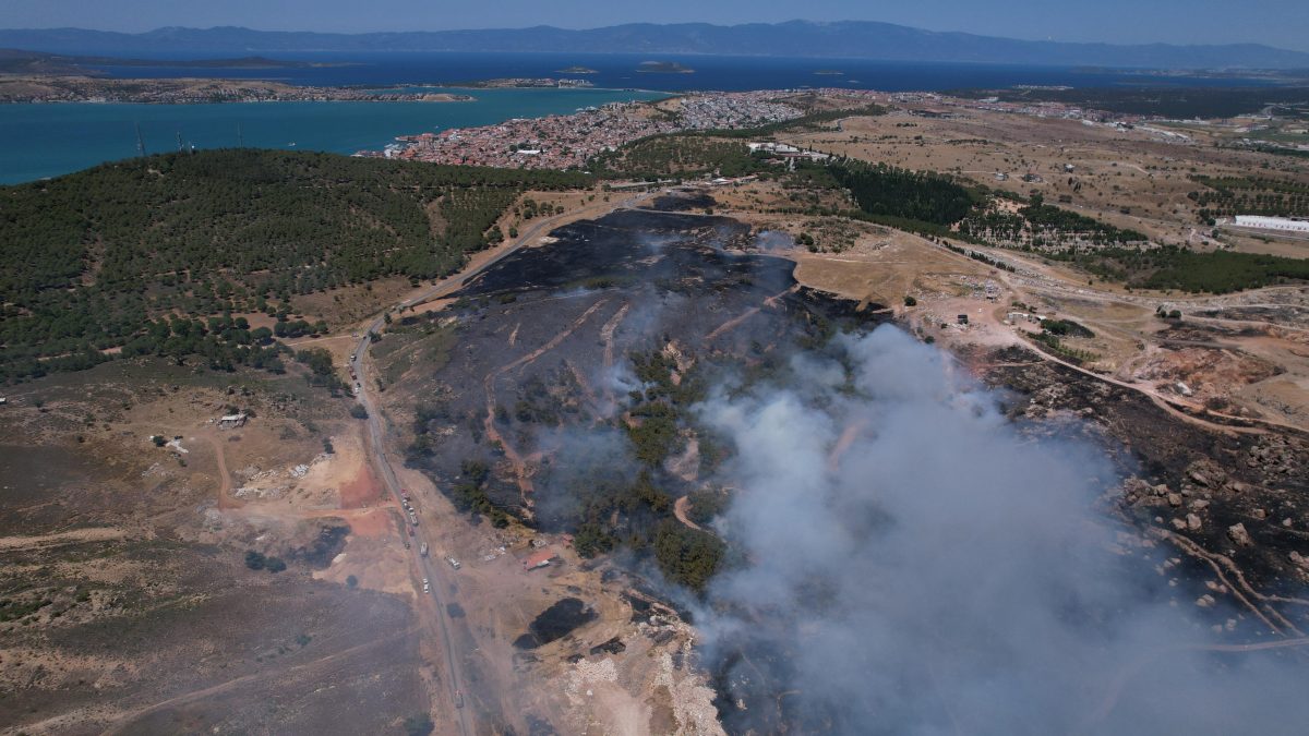 Ayvalık yangın