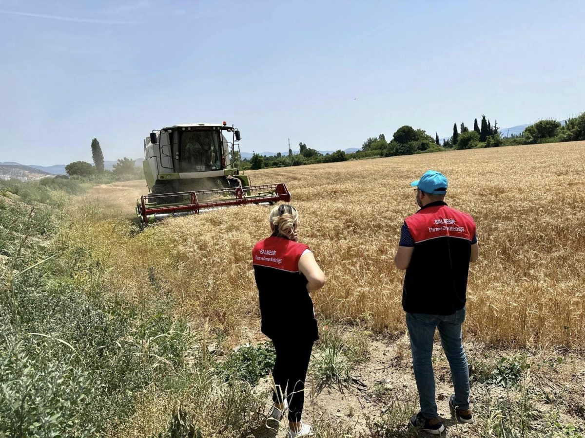 Balıkesir'de hasat denetimleri hız kesmeden sürüyor