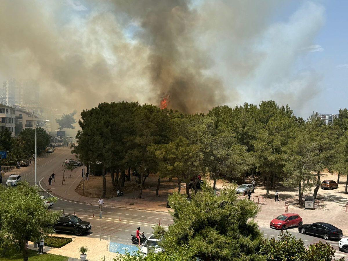 Yerleşim yerine yakın ağaçlık alanda yangın çıktı