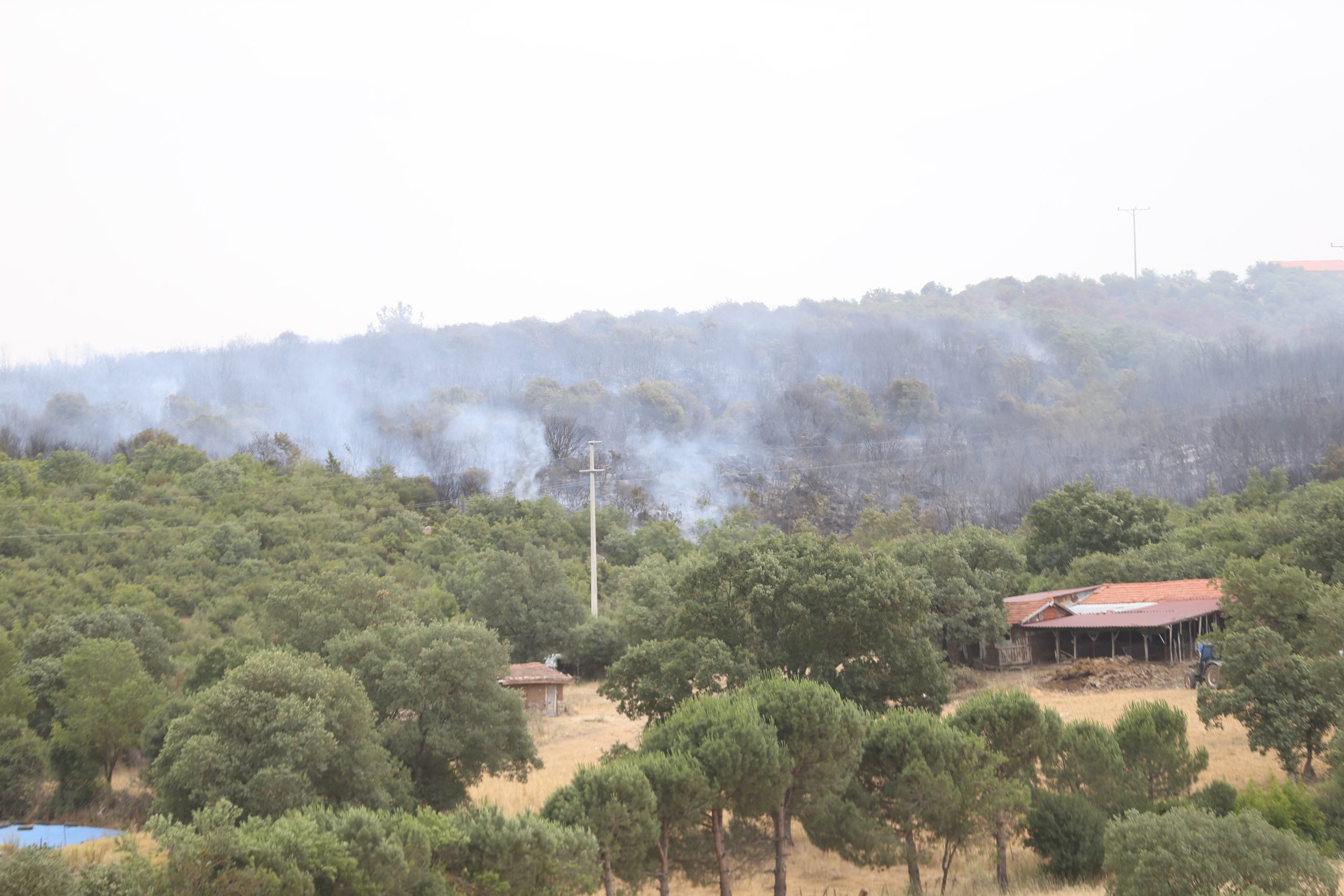 Balıkesir'de çıkan orman yangınına müdahale ediliyor