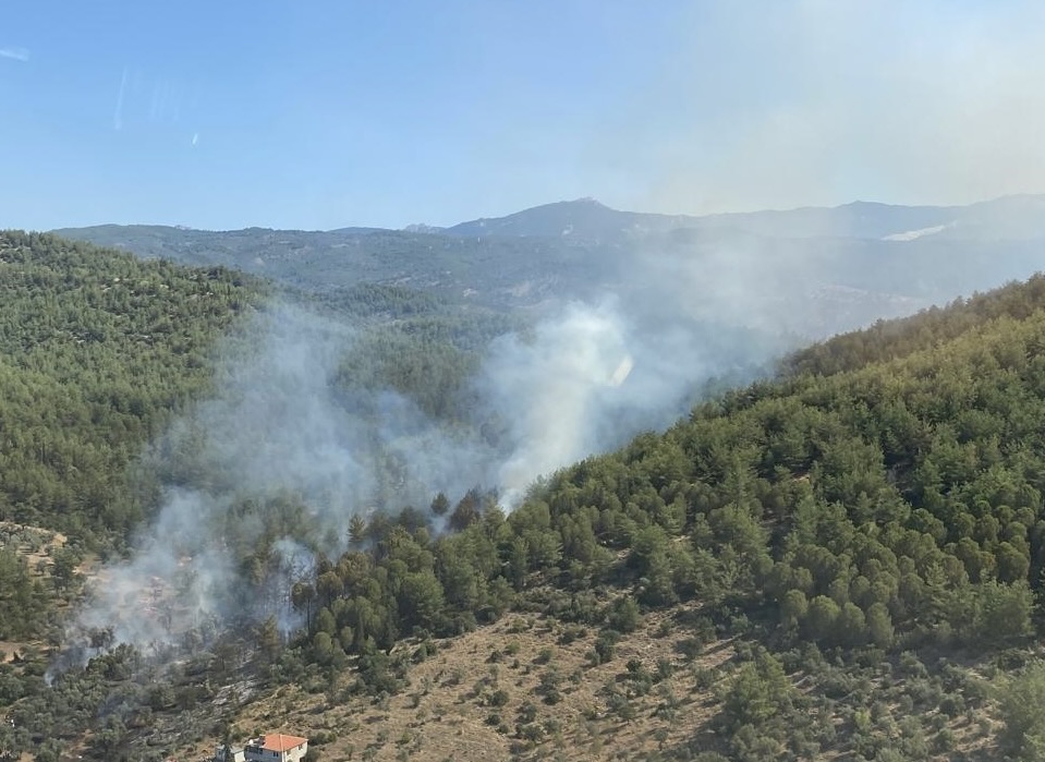 Milas'ta çıkan orman yangınına müdahaleler sürüyor