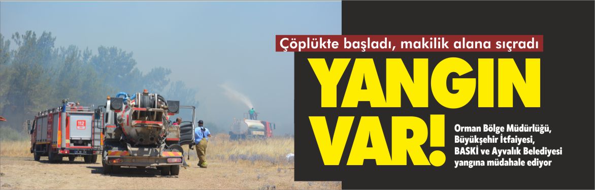 ayvalık-yangın