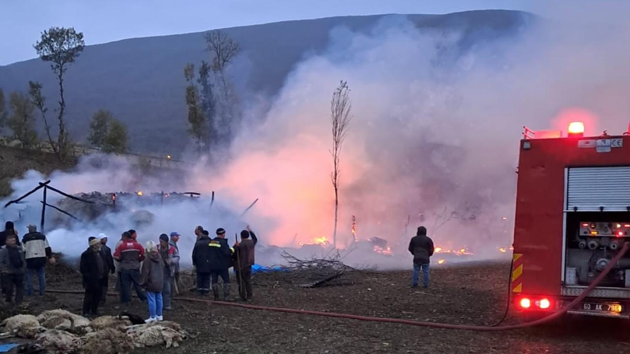 Balıkesir'de yangın çıkan çiftlikteki 52 koyun telef oldu