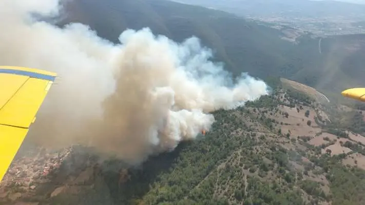 Kepsut'taki yangın kontrol altına alındı!