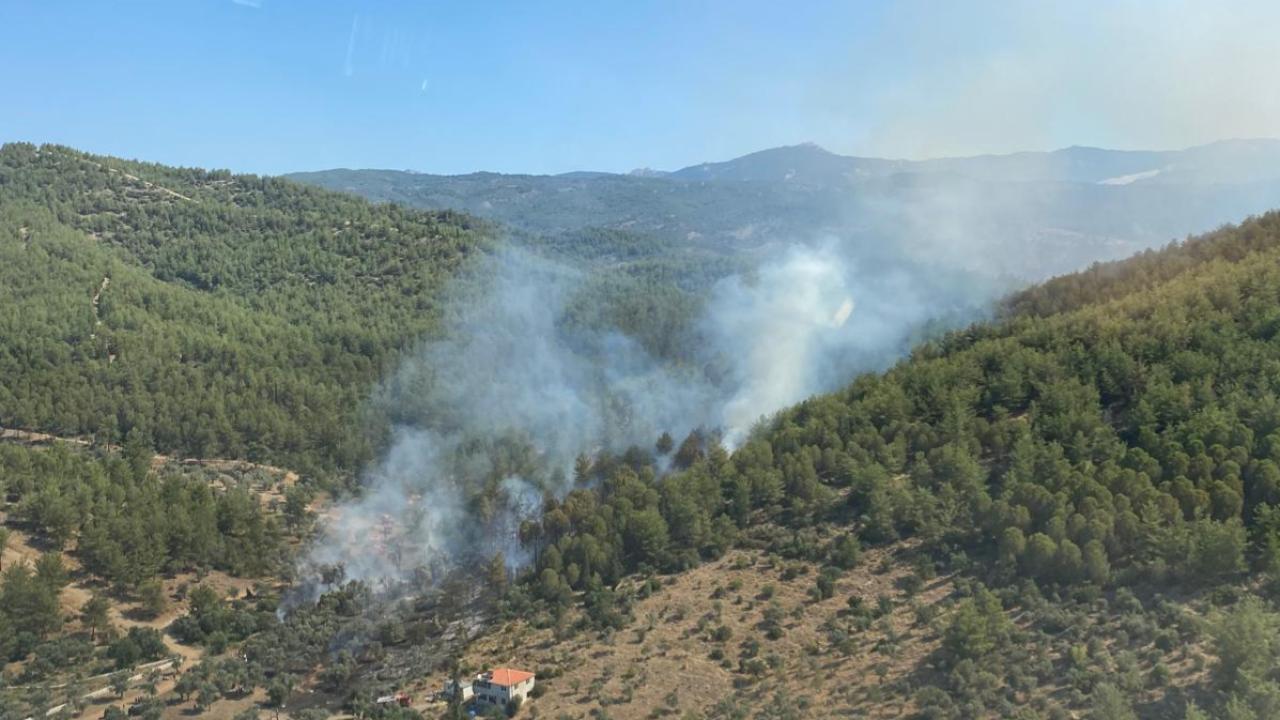 Muğla'nın Milas ilçesinde orman yangını çıktı