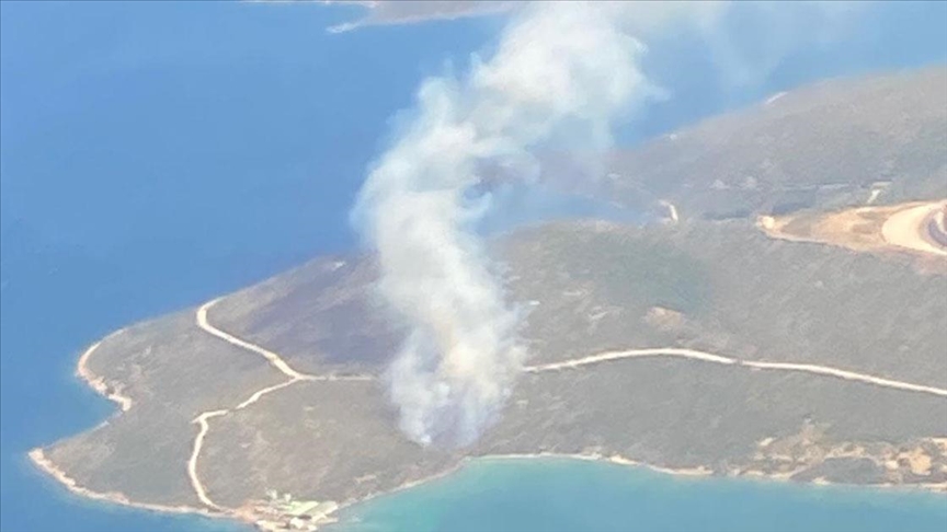 İzmir'in Urla ilçesinde makilik alanda yangın çıktı