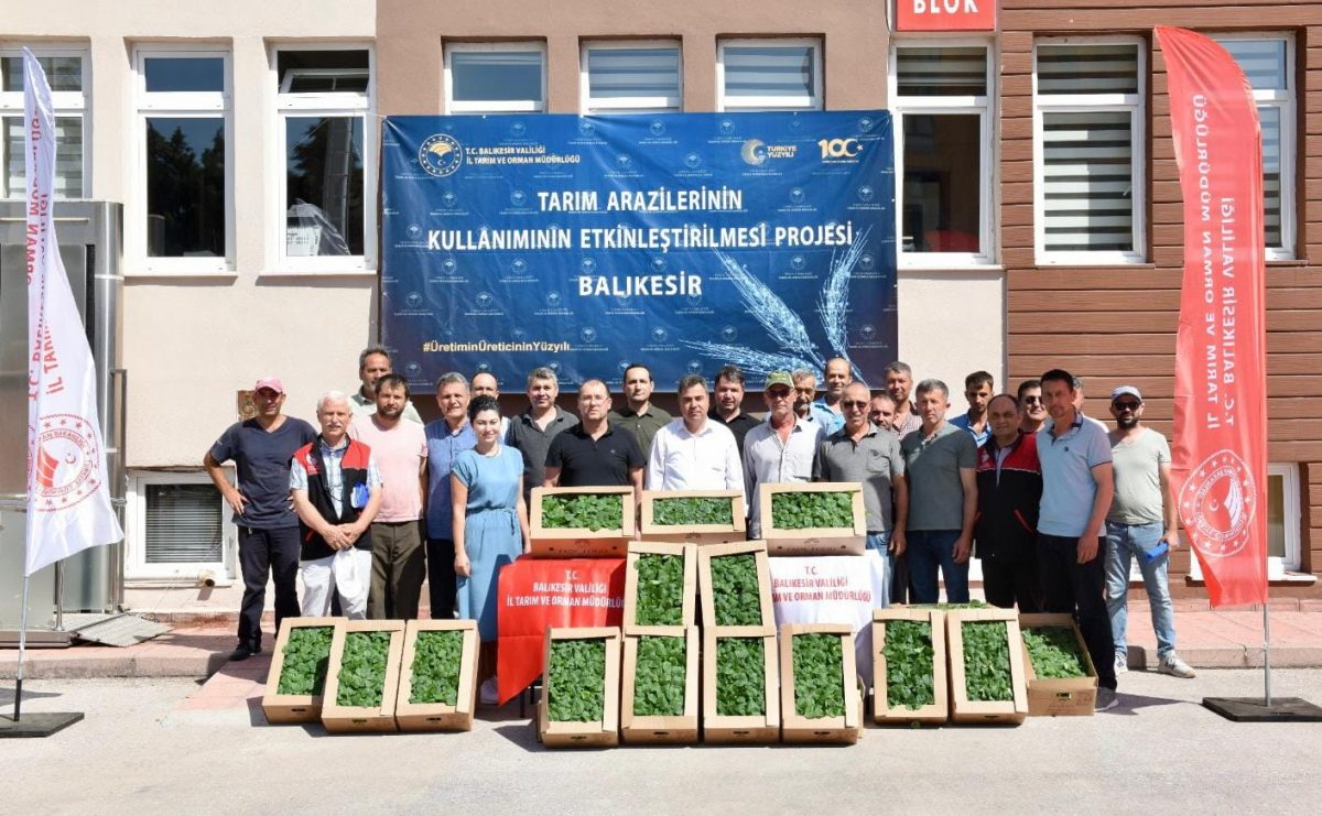 Balıkesir'de üreticilere sebze fideleri dağıtıldı