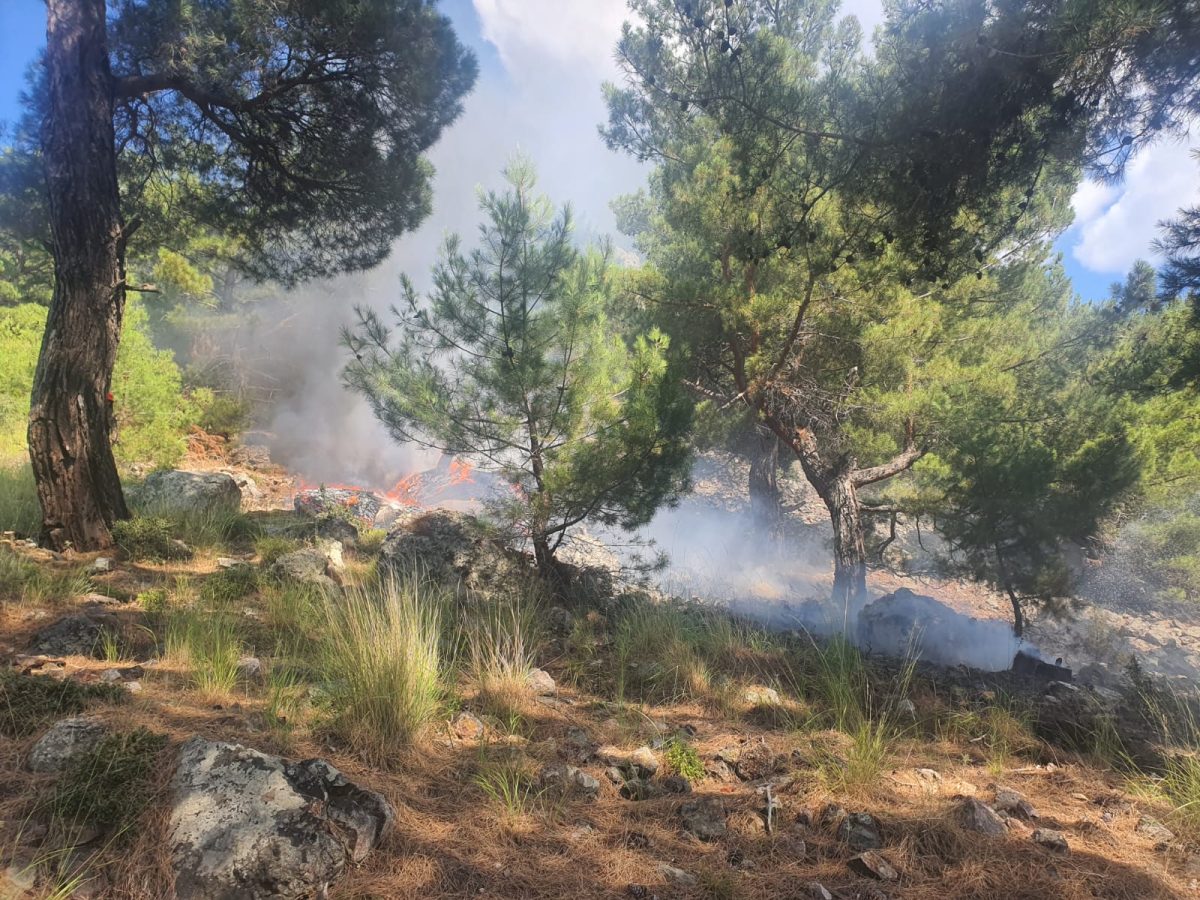 Balıkesir'de Sındırgı ve Altıeylül ilçelerindeki orman yangınları kontrol altına alındı