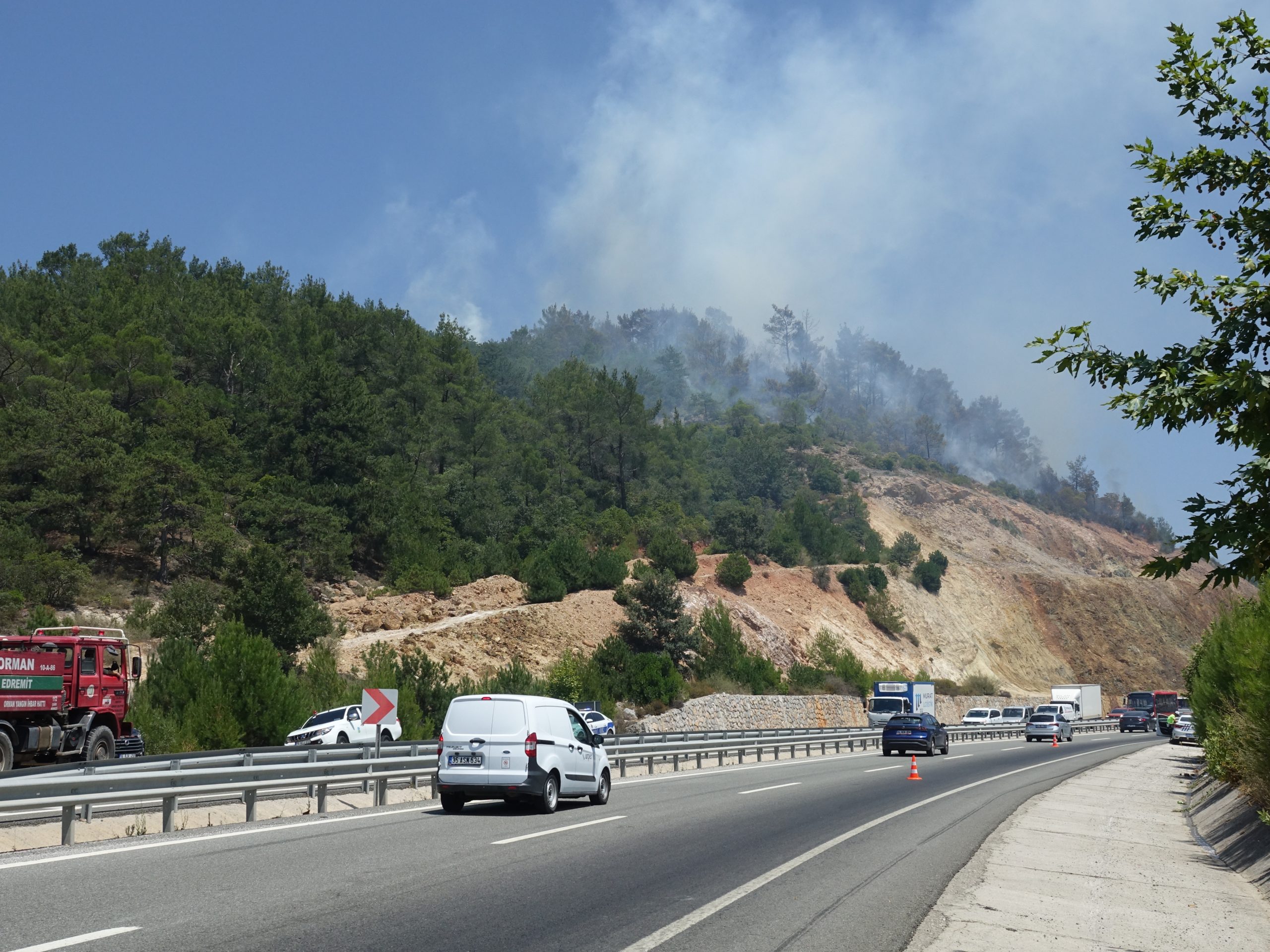 Balıkesir'in Havran ilçesinde çıkan orman yangınına müdahale edildi