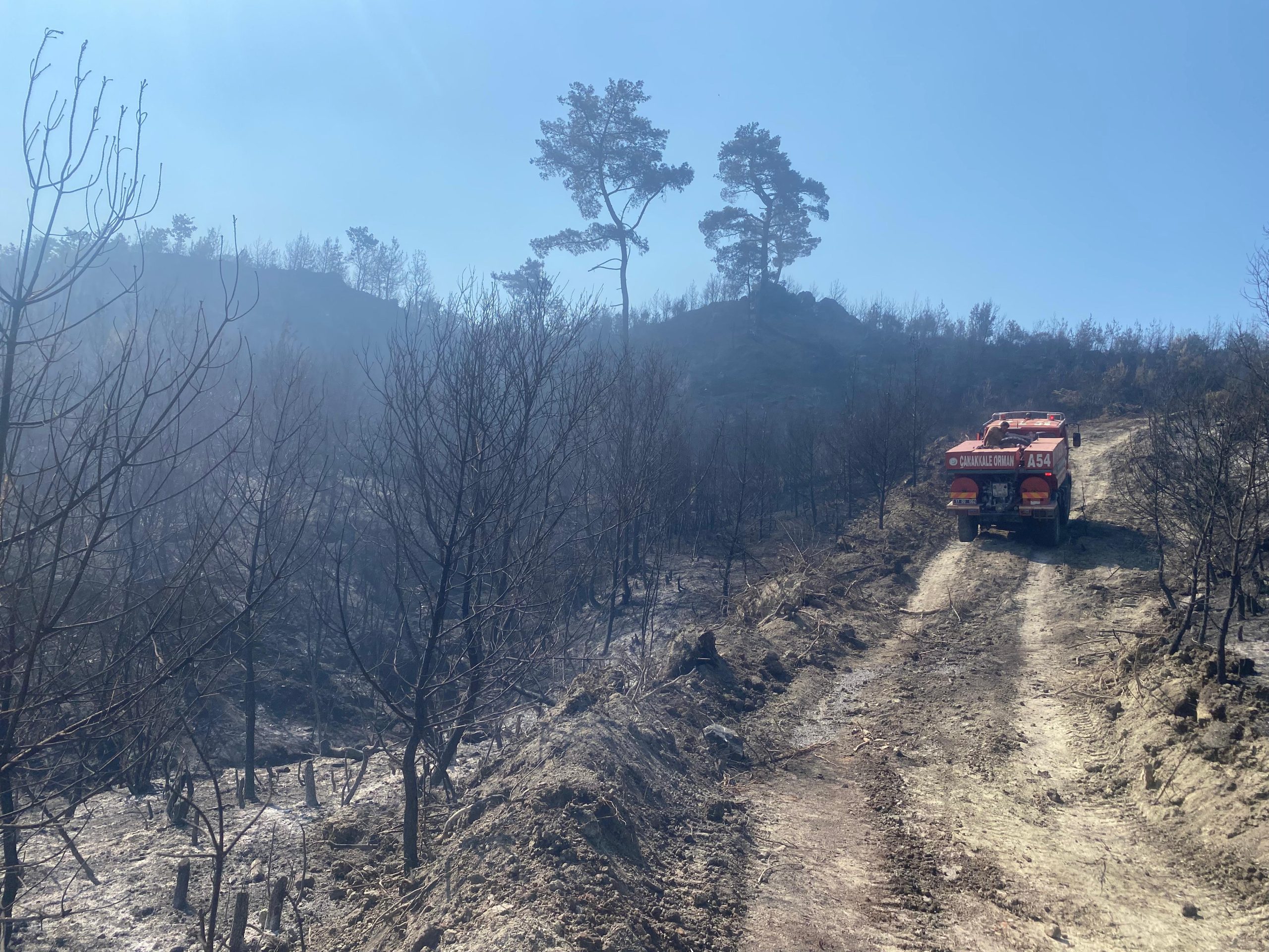 Çanakkale'nin Ayvacık ilçesinde çıkan orman yangını kontrol altına alındı