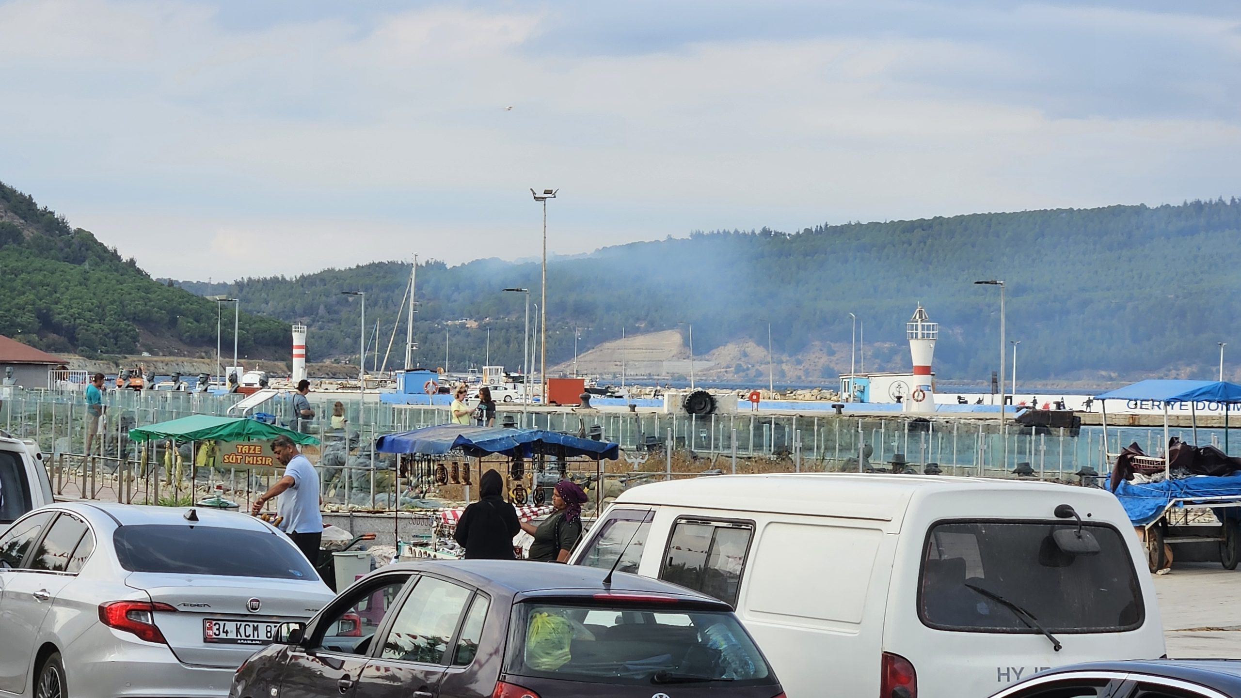 Çanakkale'nin Eceabat ilçesinde çıkan orman yangını kontrol altına alındı