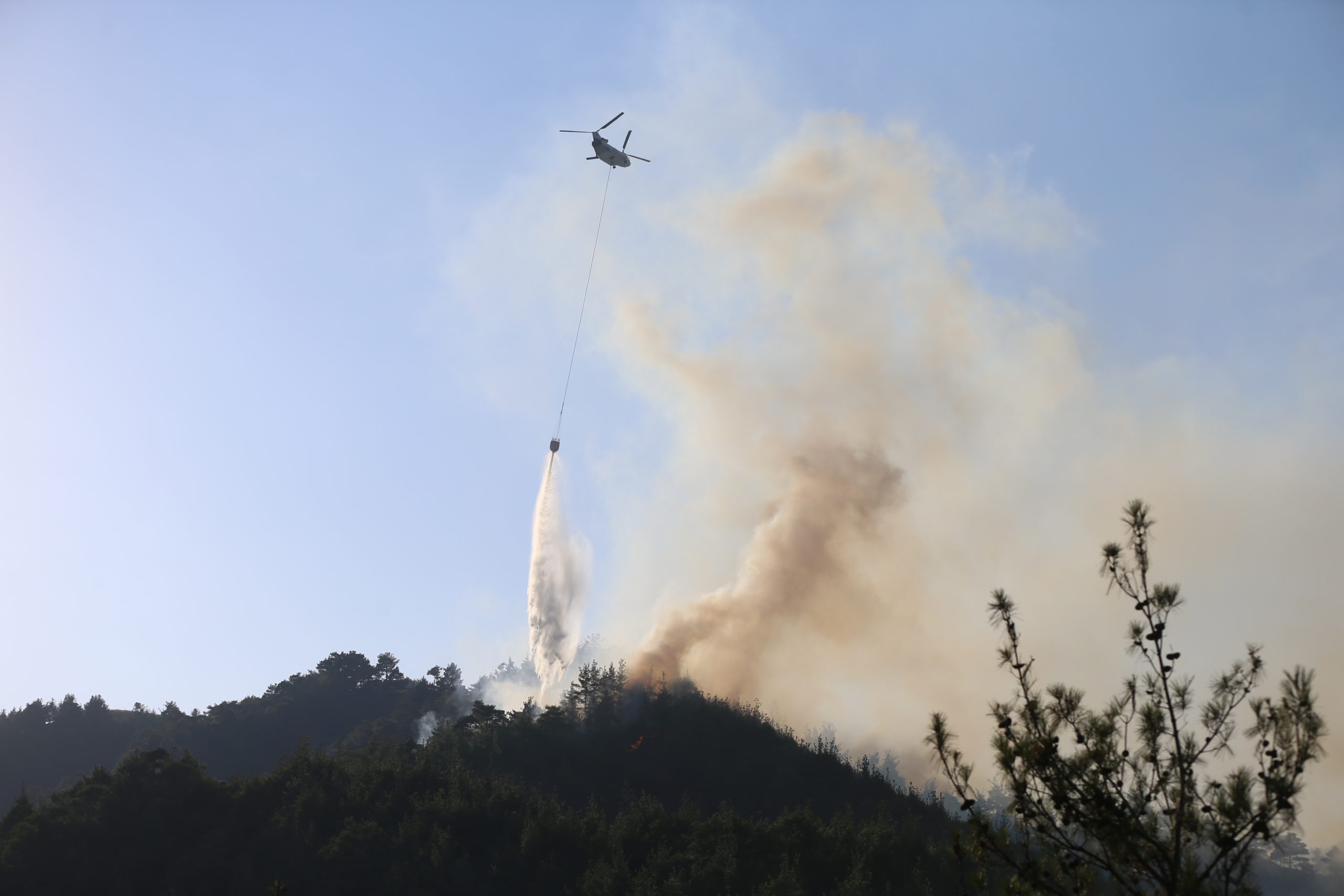 Kahramanmaraş'ta çıkan orman yangınına ekiplerce müdahale edildi