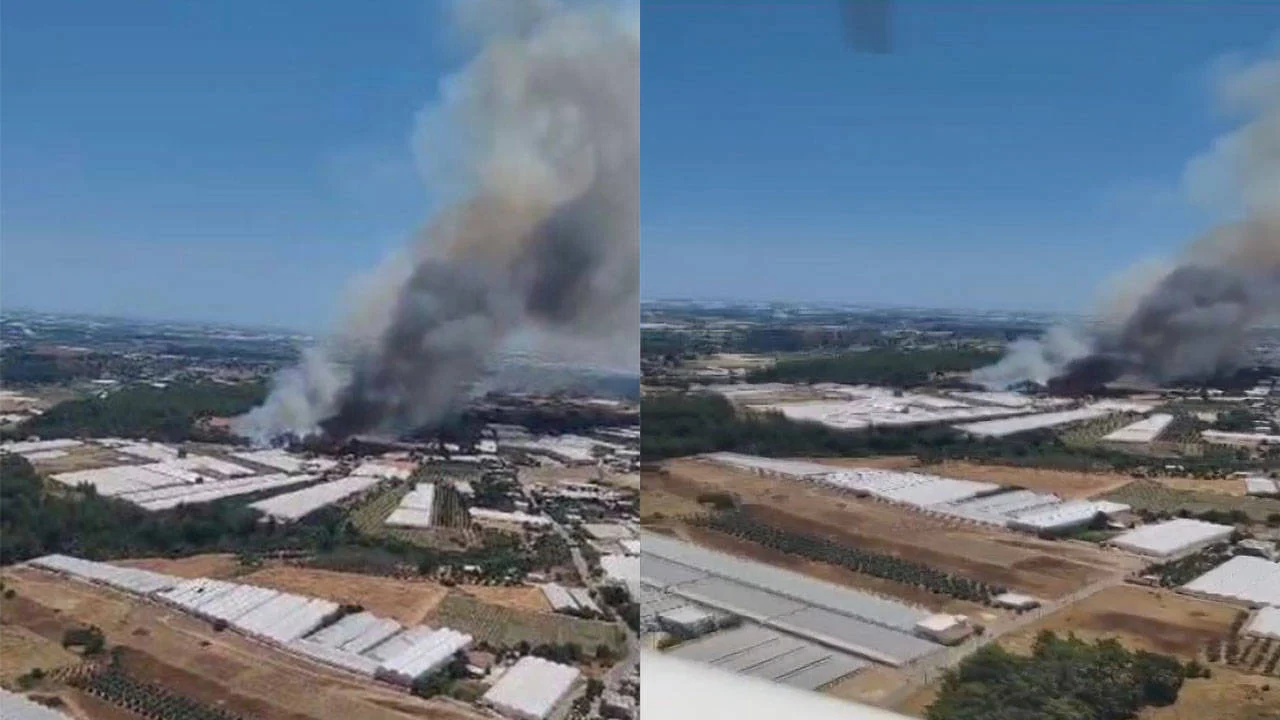 Antalya'da orman yangını