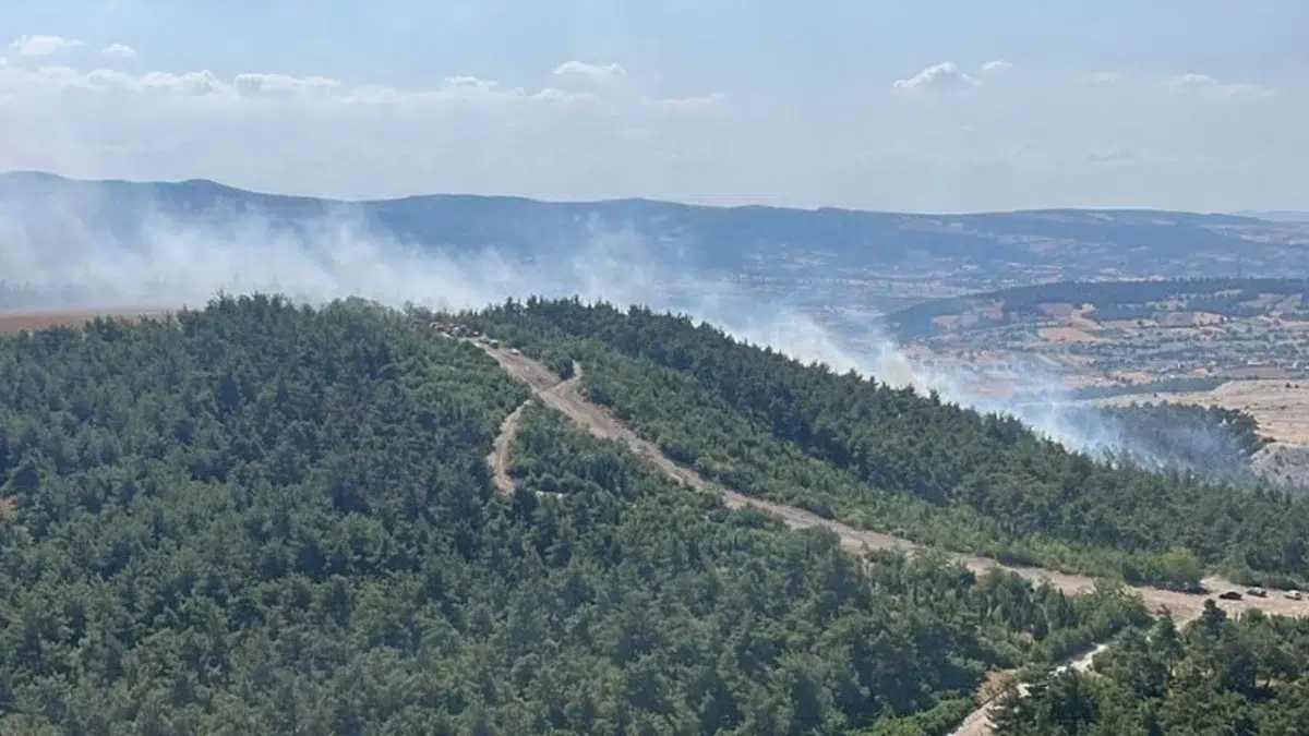 Bigadiç'de ormanlık alanda henüz bilinmeyen nedenle yangın çıktı!