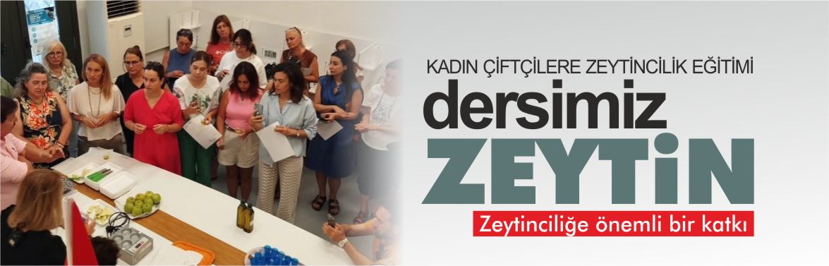 dersimiz-zeytin