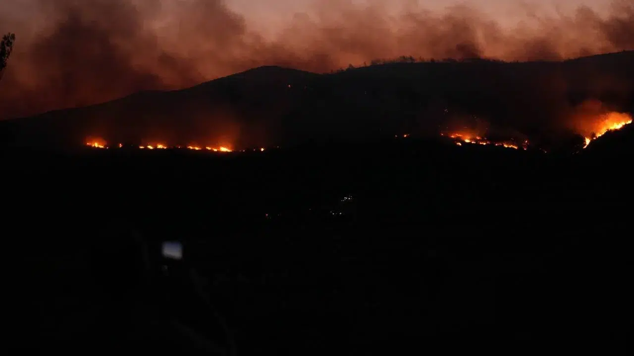 Urla'daki orman yangını 8 saati aşkın süredir devam ediyor!