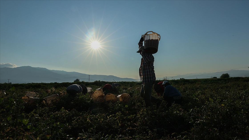 Tarımsal destek ödemelerine ilişkin istatistik bülteninin ilki yayımlandı