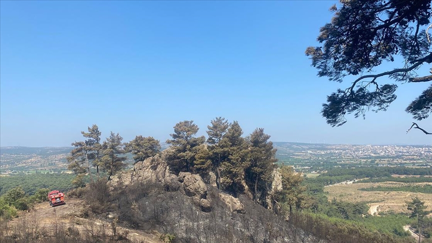 Çanakkale'de çıkan orman yangını kontrol altına alındı