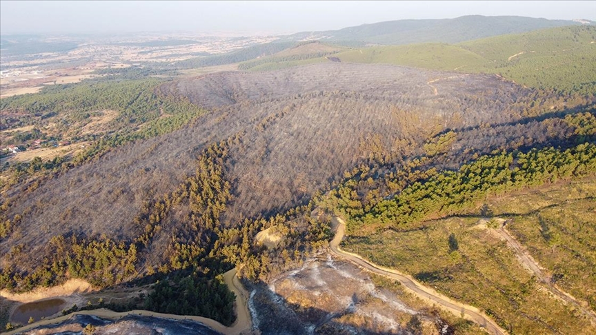 Uşak'taki orman yangınları kontrol altına alındı