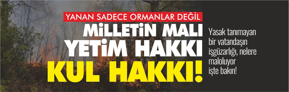 yanan-sadece-ormanlar-değil-yetim-hakkı-kul-hakkı-milletin-malı