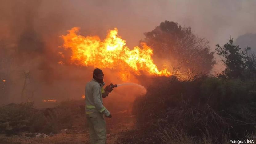 Bornova'da başlayan yangın Manisa’ya ilerliyor: Gökçeler Köyü tahliye edildi!