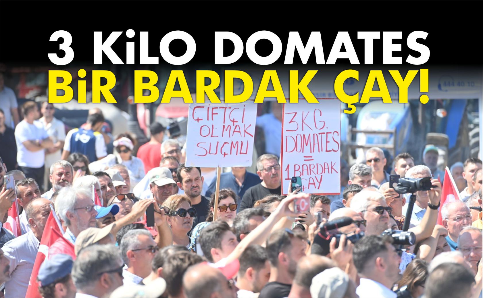 3 KİLO DOMATES BİR BARDAK ÇAY