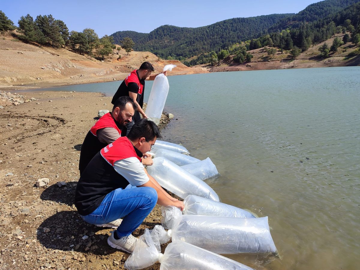 Balıkesir'in baraj ve göletlerine 1 Milyon 324 bin yavru sazan balığı bırakıldı