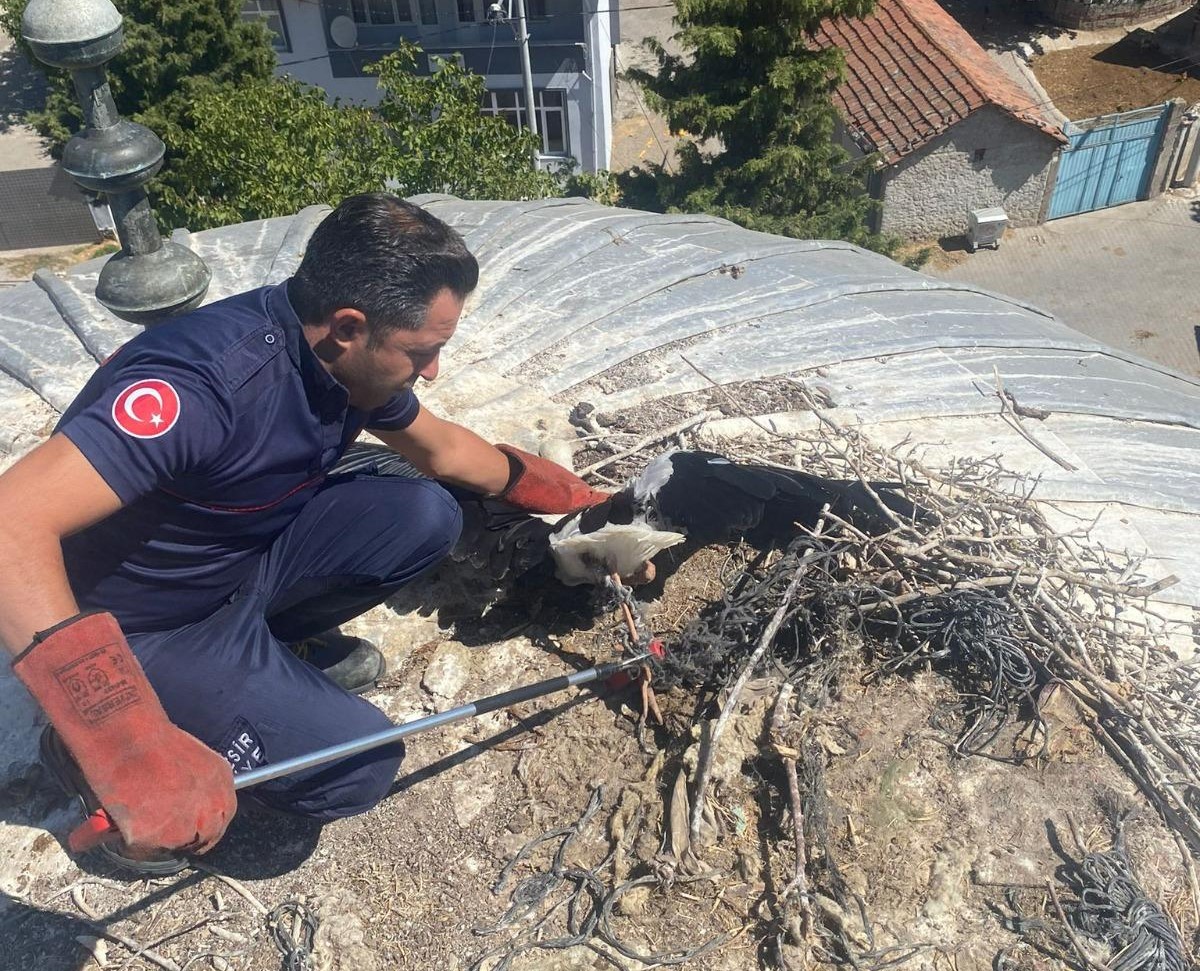 Balıkesir'de yaralı bulunan leylek tedavi ediliyor