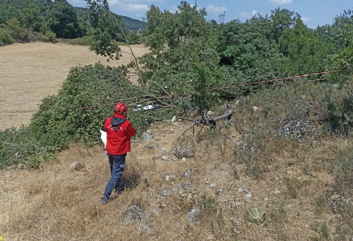 Balıkesir'de kestiği ağacın altında kalan kişi yaşamını yitirdi!