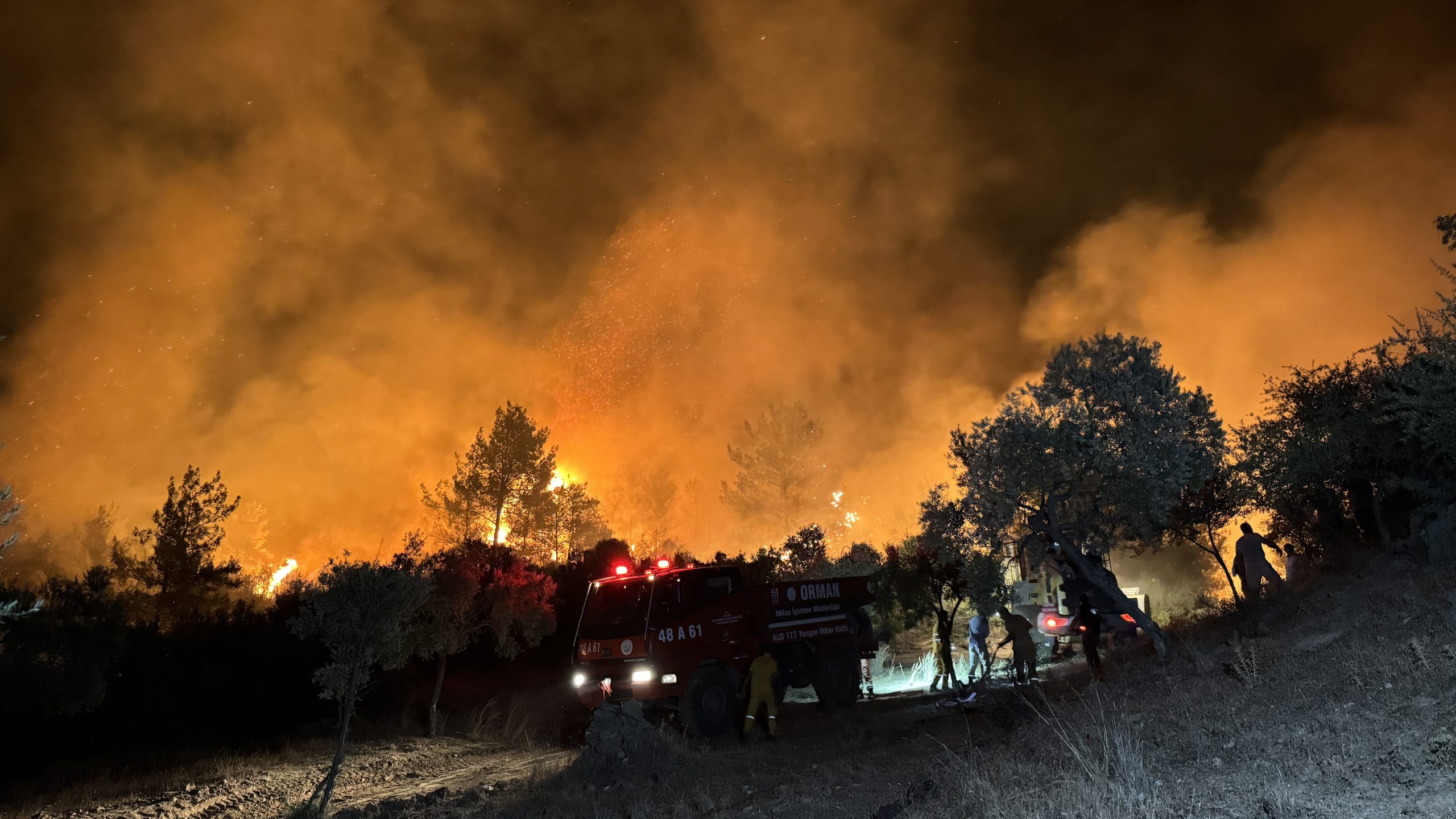 Milas'ta ormanlık alanda çıkan yangına müdahale ediliyor