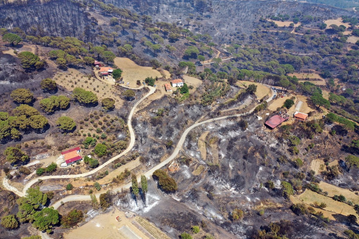 Aydın'daki orman yangınında yanan alanlar dronla görüntülendi