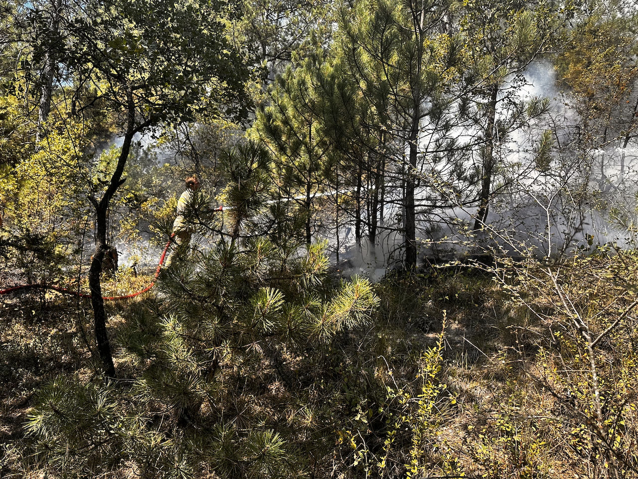 Bolu'da ormanlık alanda çıkan yangına müdahale ediliyor