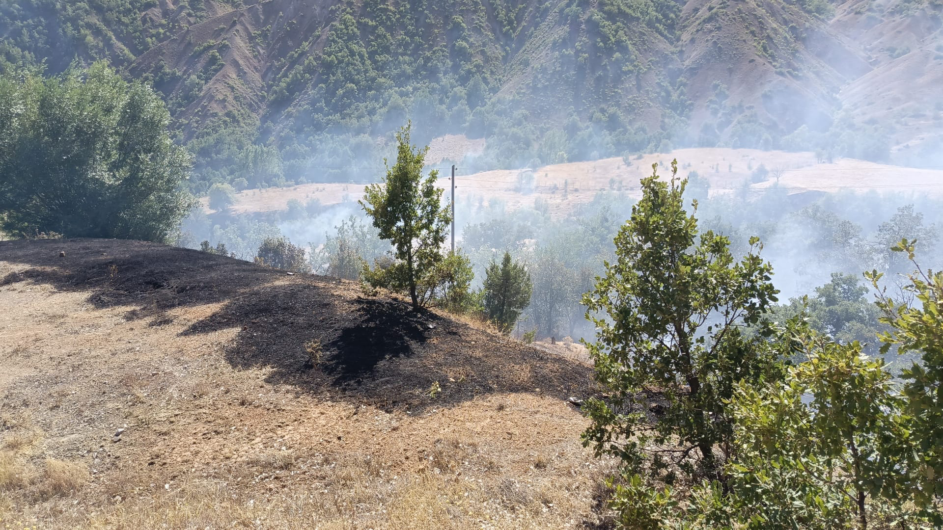 Tunceli'de ormanlık alanda çıkan yangına müdahaleler devam ediyor