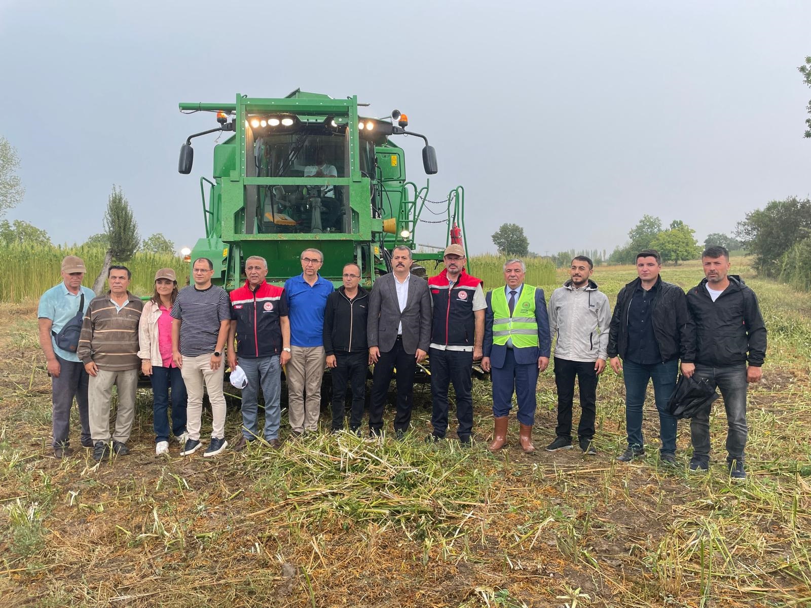 Samsun'da kenevir hasadı başladı