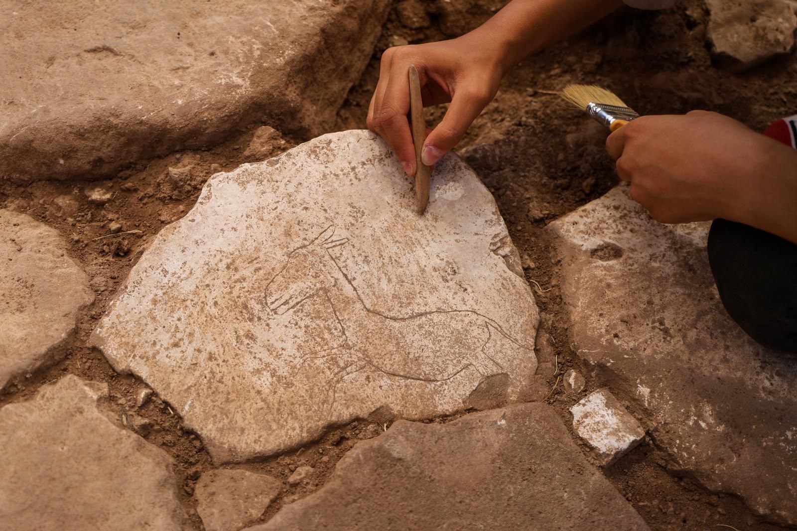 Karahantepe'de kazı alanında koşar halde betimlenen yaban eşeği figürü bulundu