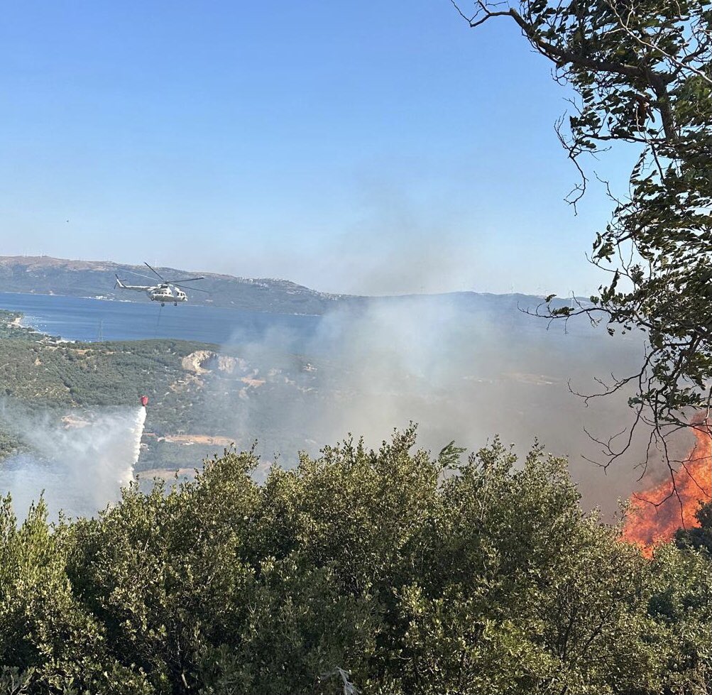 Erdek'e orman yangını çıktı!