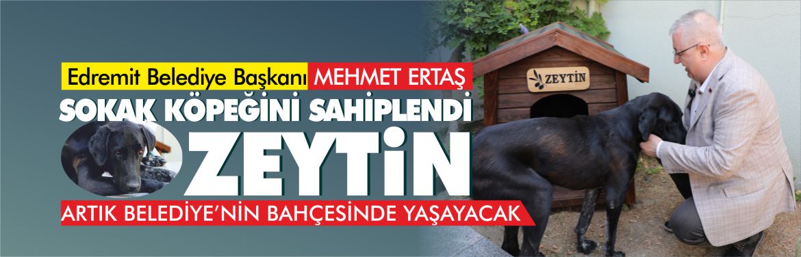 Mehmet Ertaş sahiplendiği sokak köpeğine Zeytin ismini verdi