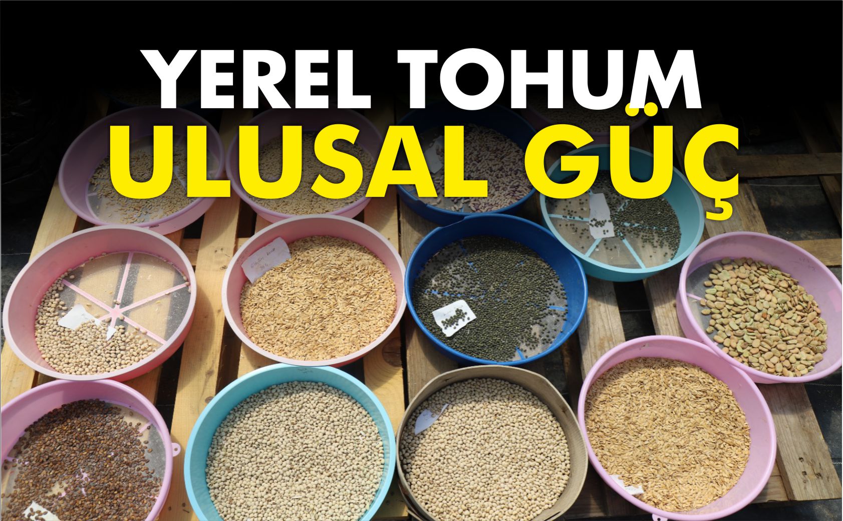 YEREL-TOHUM-ULUSAL-GÜÇ