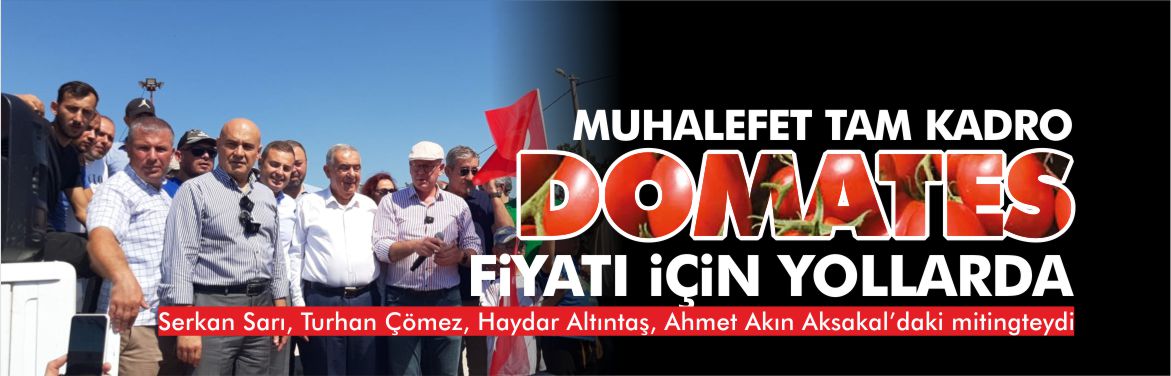 domates-mitingi