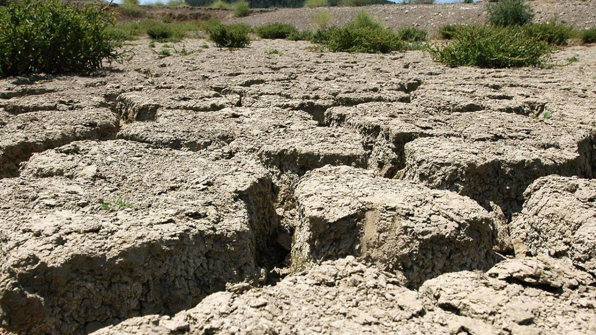 Ege Bölgesi'nin kuraklık haritası: 